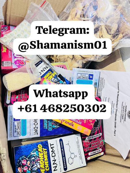File:Telegram-(@Shamanism01).jpeg